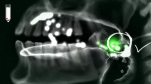 Human_Body_2