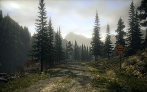 Rough_Road copy