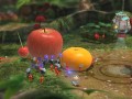 Gathering Fruit