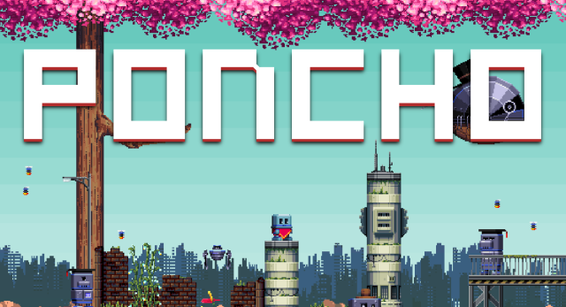poncho1