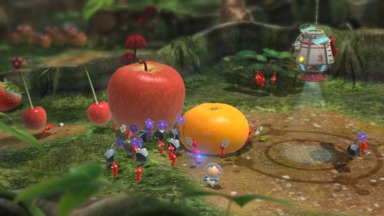 Gathering Fruit