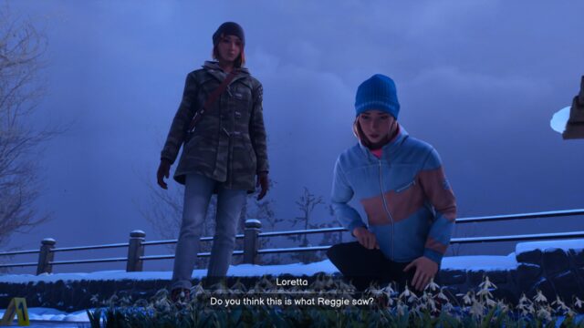 Screenshot from the game Life is Strange: Double Exposure. In the screenshot, Max is standing over Loretta as Loretta looks at a grouping of flowers. Loretta says, "Do you think this is what Reggie saw?"