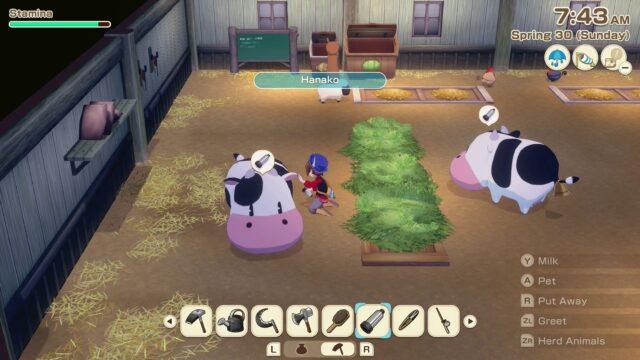 Story of Seasons Grand Bazaar screenshot