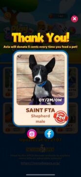 Screenshot from the Play for Paws campaign