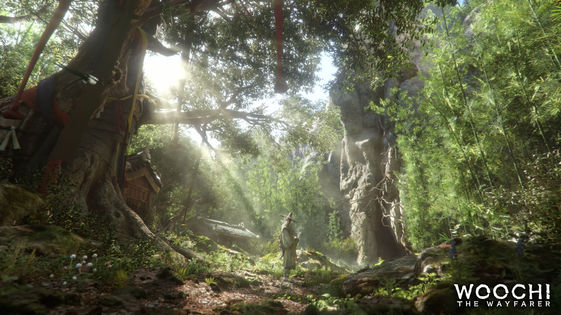 Woochi the Wayfarer key art