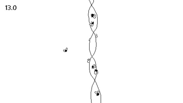 The fly with other flies.