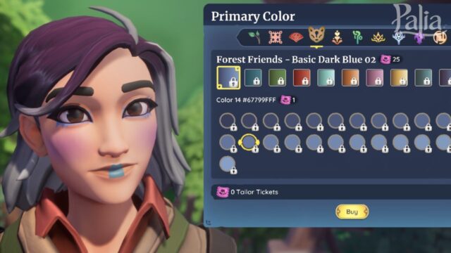 Palia Of Barns and Briars Update makeup