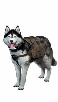 The First Descendant - Snowy Sled Dog