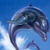 Ecco the Dolphin