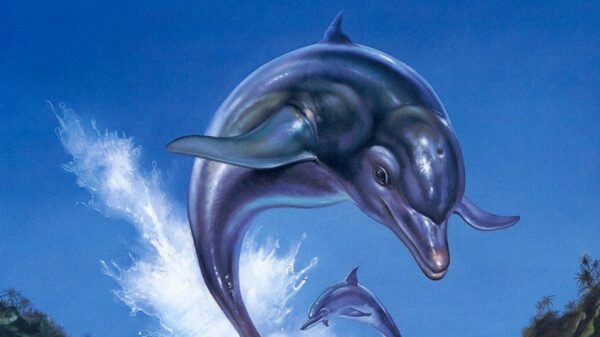 Ecco the Dolphin