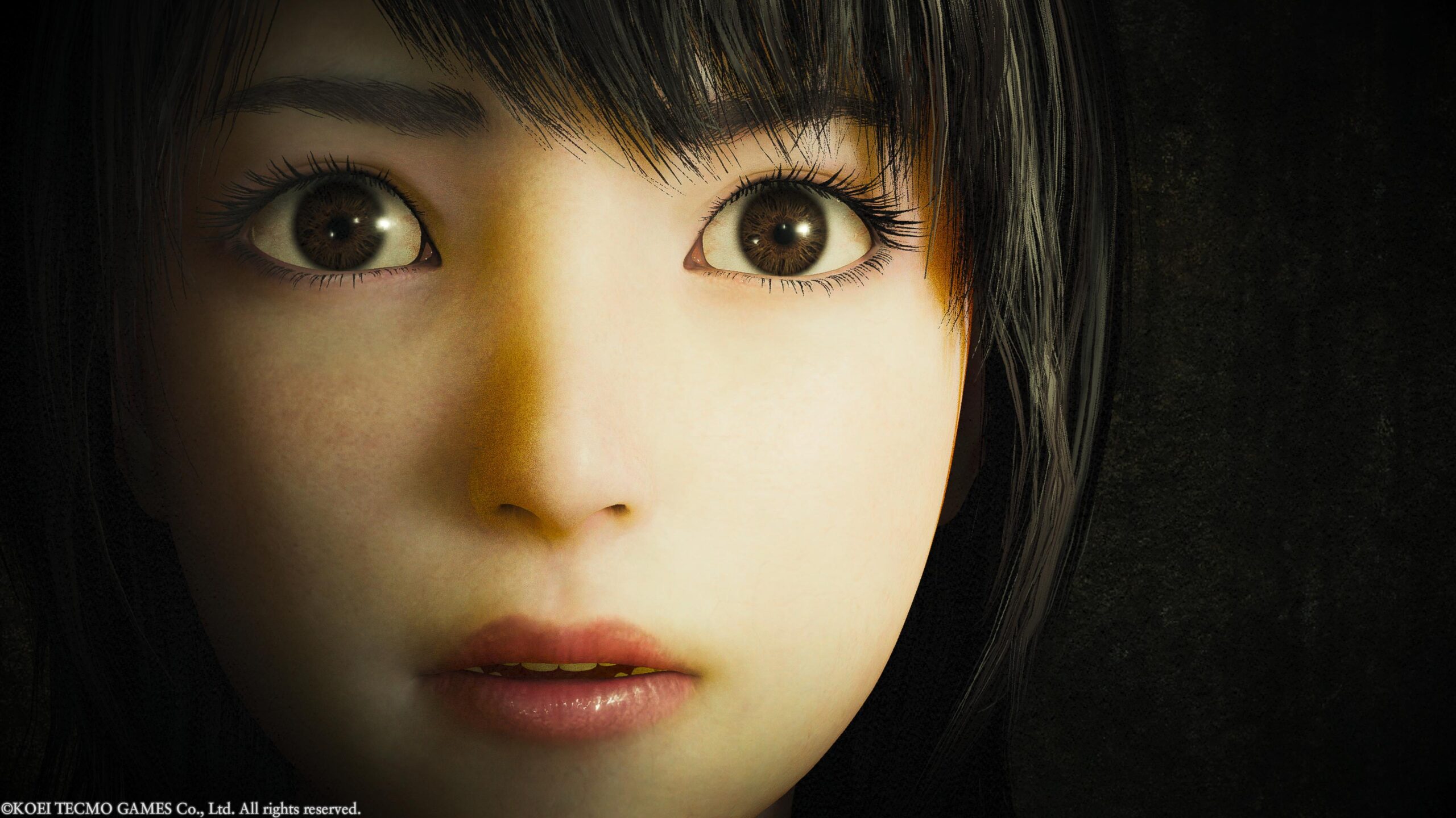 Fatal Frame II: Crimson Butterfly Remake