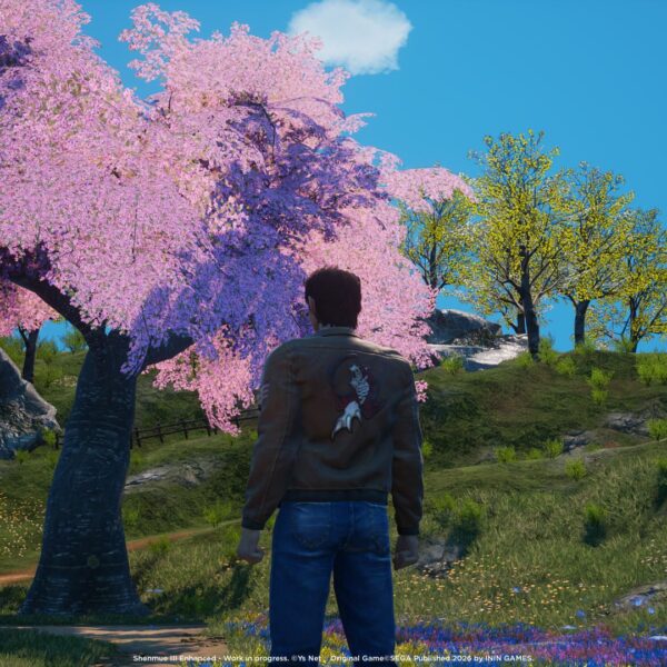 Shenmue III Enhanced Ternary Spring Angled