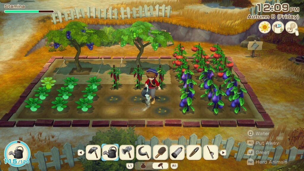 Story of Seasons Grand Bazaar PS5 screenshot