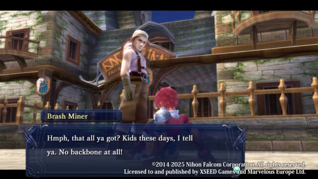 A screenshot from the game Ys Memoire - Revelations in Celceta.