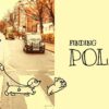 Finding Polka key art