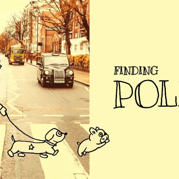 Finding Polka key art