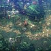 Astonishia Story screenshot