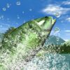 Reel Fishing Days of Summer header