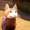 Warrior Cats key art